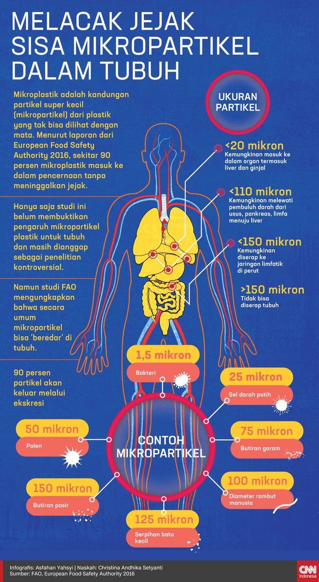 Menurut laporan dari European Food Safety Authority 2016, sekitar 90 persen mikroplastik masuk ke dalam pencernaan tanpa meninggalkan jejak.