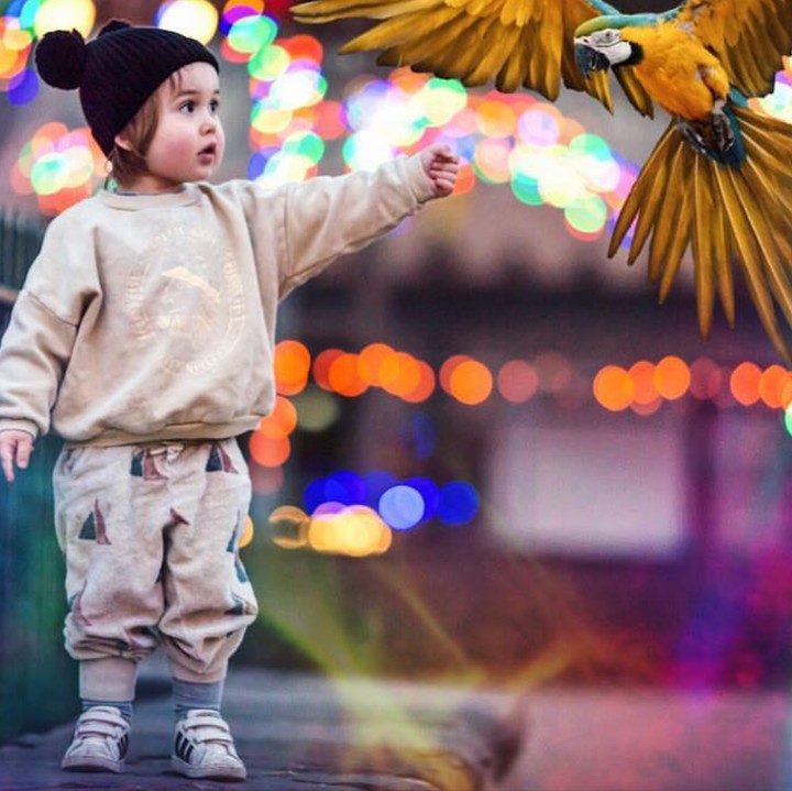 <p>Kira-kira itu burung asli bukan ya? (Foto: Instagram/europeanmommyof2)</p>