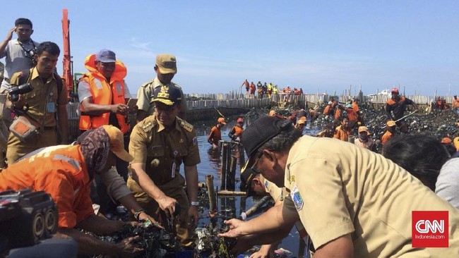 Gubernur DKI Jakarta Anies Baswedan menilai kondisi sampah di Muara Angke yang mengapung dan mengendap di perairan, lebih mudah diangkut dengan tangan kosong.