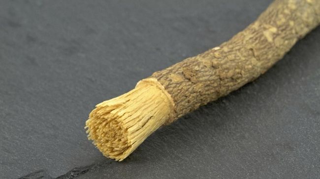 Kemunculan pasta gigi konvensional dengan ragam manfaat membuat masyarakat modern tak lagi melirik siwak. Apa itu siwak dan kaitannya dengan ibadah?