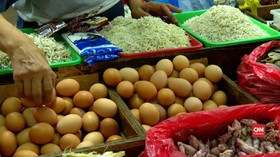 VIDEO: Polemik Isu Peredaran Telur Palsu