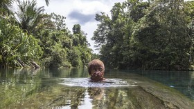 FOTO: Menengok Hutan Desa Pertama di Papua