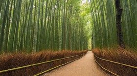 5 Destinasi Wisata Menarik di Bulan April