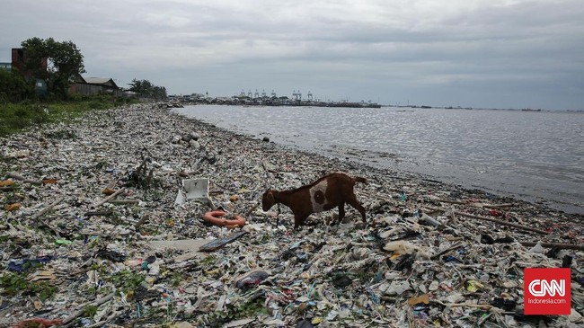 Kementerian Lingkungan Hidup dan Kehutanan (KLHK) menyatakan akan mengatur penggunaan kantung plastik oleh industri ritel demi atasi sampah plastik.