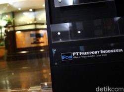 Freeport Setor Rp 7,73 T ke Pemerintah Pusat dan Daerah, Ini Rinciannya