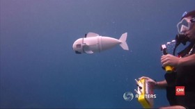 VIDEO: SoFi, Robot Ikan Pengukur Kadar Polusi Air Laut