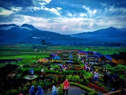 Jelajahi Alam Sambil Main Outbond Seru di Desa Wisata Pujon Kidul