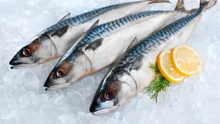 Asupan ikan penting dikonsumsi ibu hamil. Tapi, gimana kalau ibu hamil mengonsumsi sarden ya?