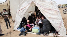 Saudi Janji Beri Rp726 Miliar untuk Pengungsi Palestina