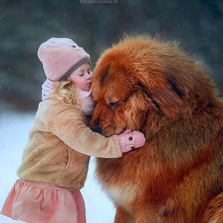 <p>Viola bersama anjing kesayangannya. (Foto: Instagram/ @viola_dima_official)  </p>