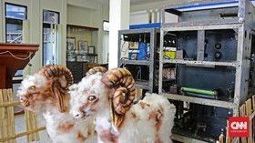 Balada Radio 'Pemancar Kambing' untuk Kelabui Kompeni