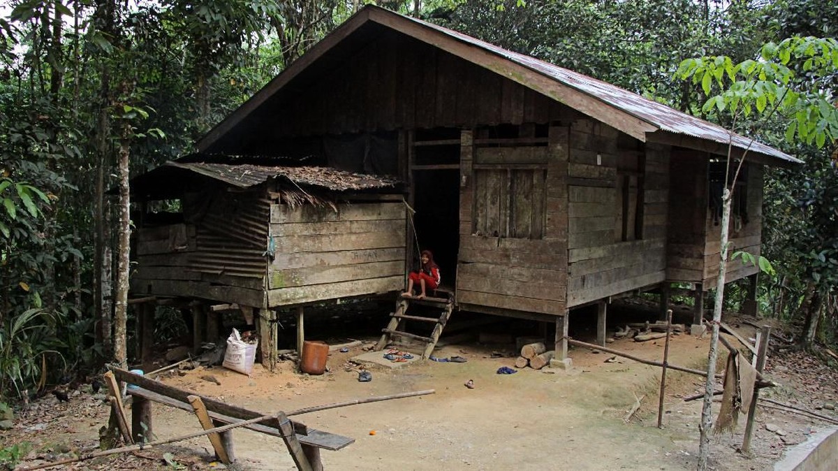 FOTO: Desa Simpang Nun Jauh dari 'Sengat' Listrik