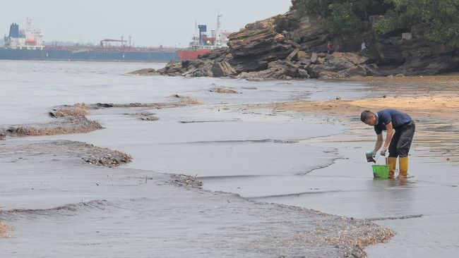 Akibat Minyak Terumbu Karang Di Teluk Balikpapan Rusak