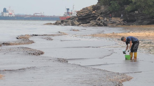 Kementerian Lingkungan Hidup dan Kehutanan membutuhkan waktu 10 hari untuk mengkaji dampak kerusakan dari tumpahan minyak yang terjadi di Teluk Balikpapan.