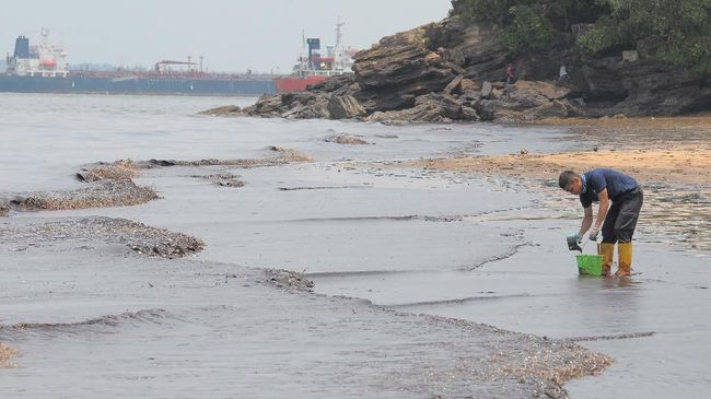 Plt Wali Kota Balikpapan: Tumpahan Minyak Milik Pertamina Pelaksana tugas Wali Kota Balikpapan, Rahmat Mas'ud, menyatakan tumpahan minyak di Teluk Balikpapan berasal dari kebocoran pipa bawah laut milik Pertamina.