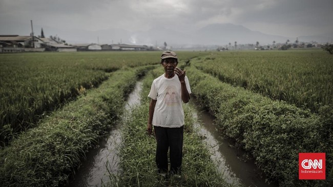 Sebanyak lima ribu bibit pohon kopi berjenis arabika dan robusta bakal ditanam di hulu daerah aliran sungai (DAS) Citarum.