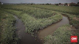 Pemerintah Janji Kendalikan Konversi Lahan Sawah Dari Proyek