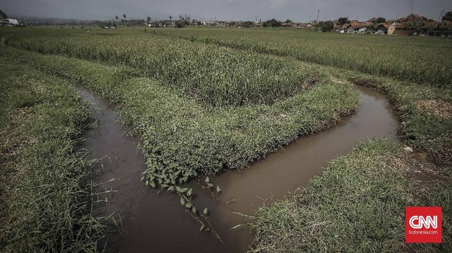 Pemerintah melalui Kementerian ATR/ BPN berjanji mengendalikan konversi lahan sawah dari peningkatan pembangunan proyek. Itu dilakukan dengan seleksi ketat.
