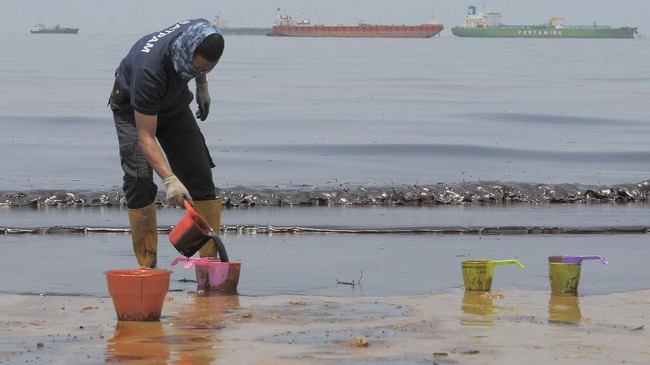 Pengambilan sampel dilakukan buat mengetahui jumlah zat pencemar di wilayah perairan Balikpapan. Tumpahan minyak telah mencemari tanah di kawasan tersebut.