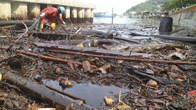 KLHK Diminta Gugat Dalang Minyak Tumpah di Balikpapan