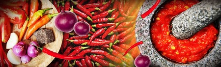 Tersengat Pedas Asli Indonesia