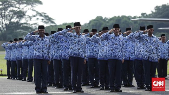 CPNS yang dinyatakan lolos seleksi tidak serta merta diangkat menjadi PNS. Lantas, butuh waktu berapa lama CPNS diangkat jadi PNS pada 2024?