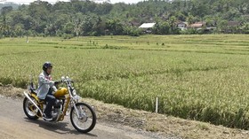 Motor Chopper Hilang di LHKPN, Jokowi Alihkan ke Kaesang