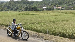 Motor Chopper Hilang di LHKPN, Jokowi Alihkan ke Kaesang