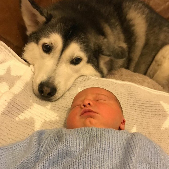 <p>Ya ampun tahu aja si anjing kalau mau difoto bareng bayi yang lagi tidur, hi-hi-hi. (Foto: Instagram @milperthusky)</p>