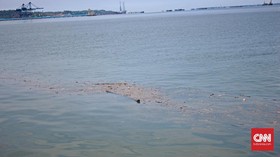 Ratusan Hewan Laut Mati, Diduga Imbas Bocor Roket Rusia