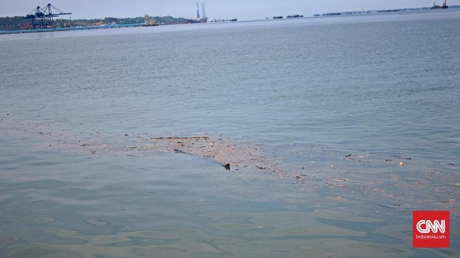 Ratusan binatang laut di perairan Rusia mati dan terdampar diduga akibat kebocoran bahan bakar roket di wilayah itu.