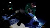 FOTO: Ekspedisi Macan Kumbang Amazon Ekspedisi mencari Macan Kumbang dimulai pada malam hari, karena di siang hari Macan Kumbang disebut malu menampakkan dirinya.