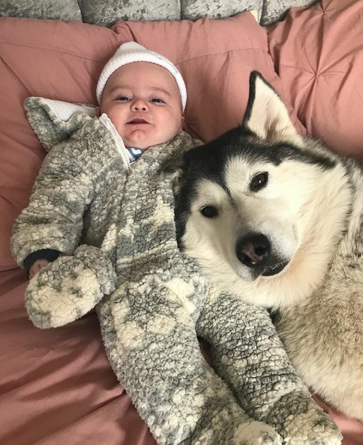 Seorang Bayi dan Anjing Penjaganya yang Setia - Foto 2