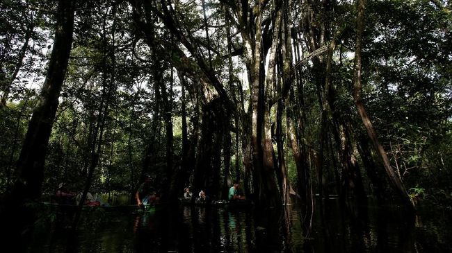 Alasannya tempat ini ilegal beragam, mulai dari perihal kerahasiaan hingga terkait keselataman.