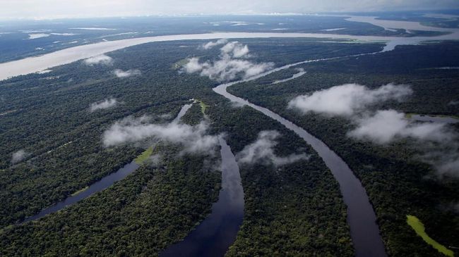 Tak hanya Pantanal, perjalanan dengan kapal mewah ini juga menyambangi belantara Amazon.