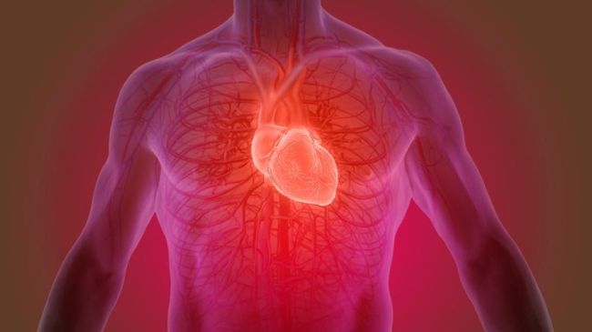 Tim mahasiswa Institut Teknologi Bandung (ITB) menciptakan sebuah aplikasi kesehatan yang bernama Cardio-PP untuk memantau kesehatan jantung pengguna.