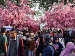 Jurus Pengembang Gaet Pemburu Rumah Usai Pandemi