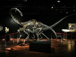 Video Wujud 3 Fosil Dinosaurus Jurassic yang Terjual Rp 251 M