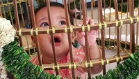 <p>Begini ekspresi Solara saat masuk ke kandang ayam. (Foto: Instagram/ @mamiehardo)  </p>
