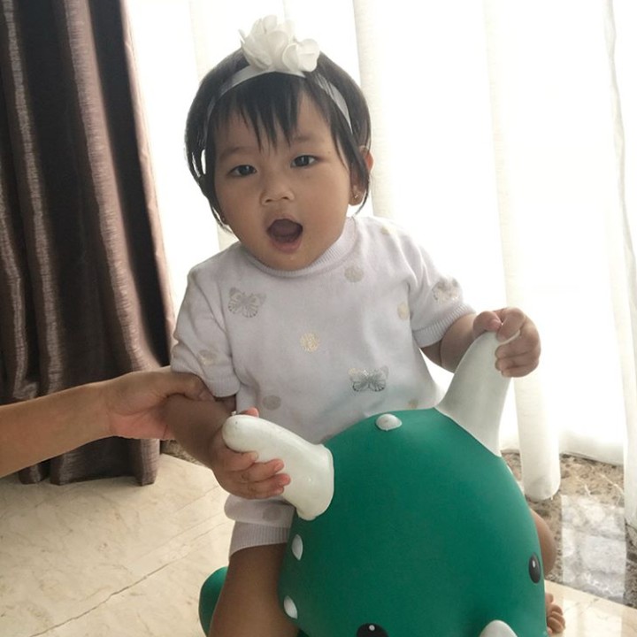 <p>Yeay, senangnya Alesha naik badak. (Foto: Instagram @aleshamilenachalik)</p>