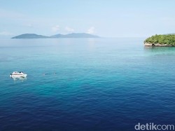 Mengenal Liveaboard Raja Ampat, Cara Jelajah Terbaik