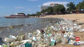VIDEO: Pantai Sanur Dipenuhi Sampah, Wisatawan Terganggu