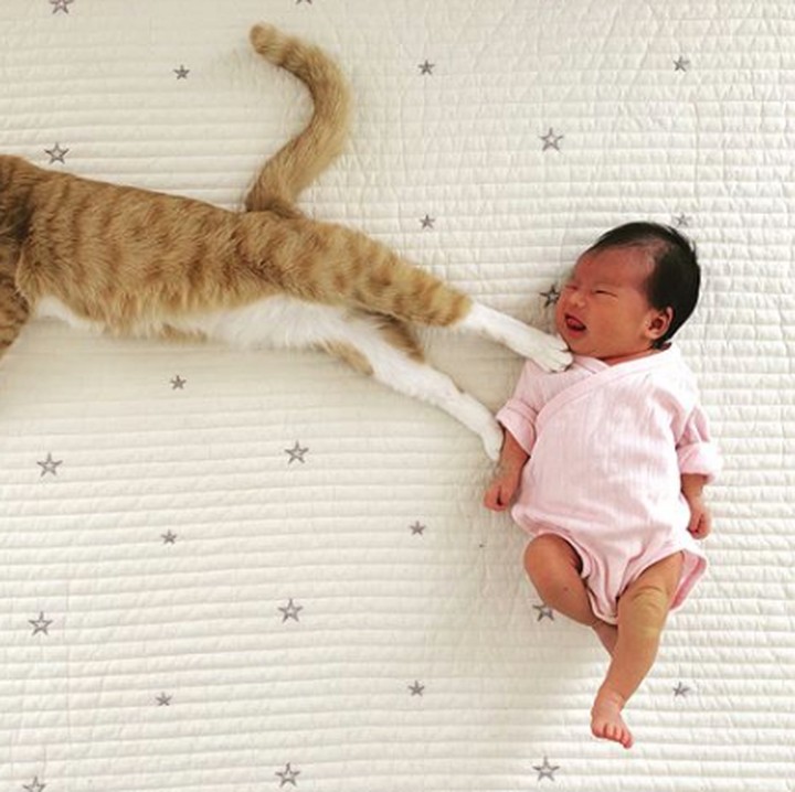 <p>Duh, kasihan si kecil ditendang sama kucingnya. (Foto: Instagram @yuti_mei_maccha)</p>