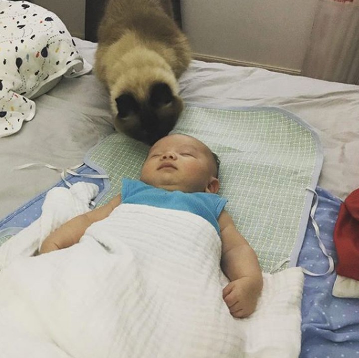 <p>Diendus-endus saat tidur, mungkin kalau masih bayi nggak terasa ya, Bun? (Foto: Instagram @nothrboundzz)</p>