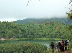 7 Tempat Staycation di Wonosobo yang Murah, Nyaman, dan Sejuk