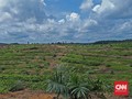 Adik Wagub Sumut Jadi Tersangka Alih Fungsi Hutan Lindung
