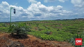 Hasil Arahan Energi Terbarukan UE Tak Larang Sawit Indonesia