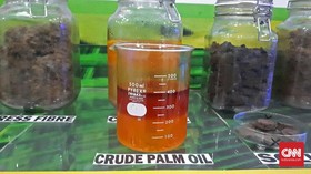 Pemerintah Yakin Bea Masuk Impor Sawit RI Rugikan Uni Eropa
