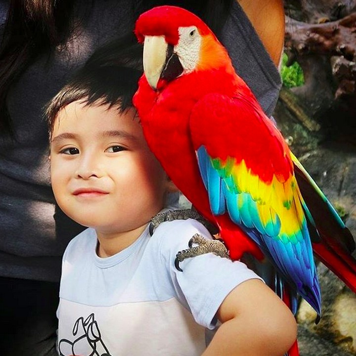 <p>Bocah yang tahun ini genap berumur 6 tahun dan biasa dipanggil Ichal adalah buah hati Daus Mini dari pernikahannya bersama Yunita Lestari. (Foto: Instagram/ @ichalomen02)  </p>