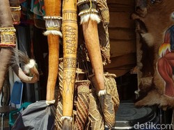 Koteka Berasal dari Daerah Mana? Ini Jawaban dan Penggunaannya